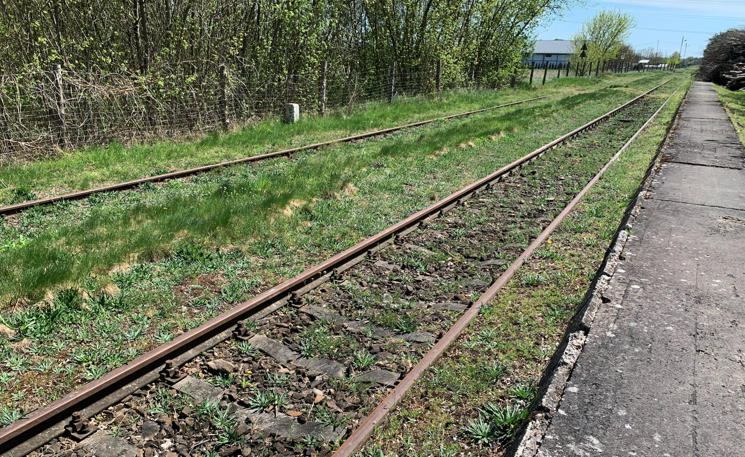 Railway line No. 115 Tarnów – Szczucin. 2026.